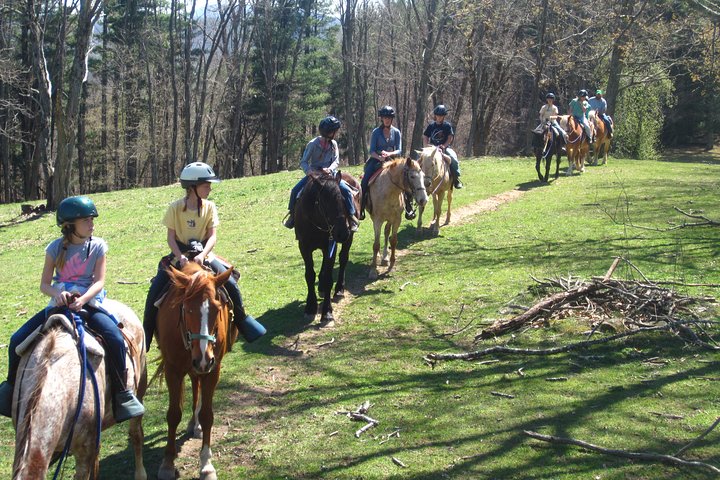 Guided Horseback Ride Through Flame Azalea And Fern Forest - thumb 3