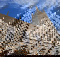 Scavenger Hunt Books and Basketball at Duke University - Students Accommodation