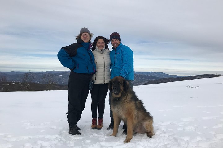 Blue Ridge Mountains Guided Hiking Tour With Local Guide - Small Groups!! - thumb 0
