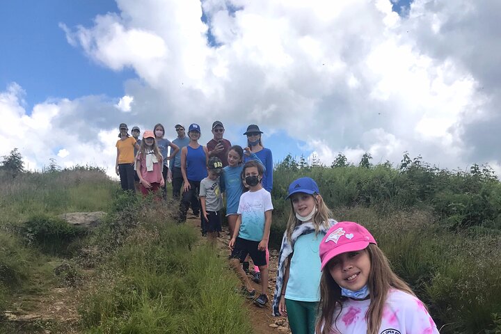 Blue Ridge Mountains Guided Hiking Tour With Local Guide - Small Groups!! - thumb 2