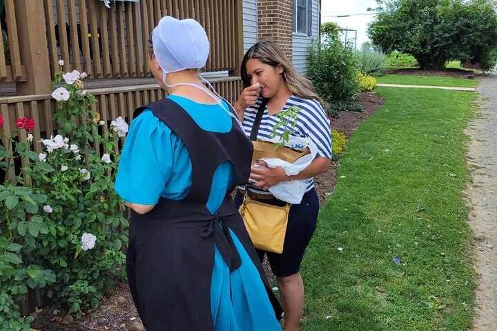 Authentic Tour & Meal With An Amish Family! - thumb 5