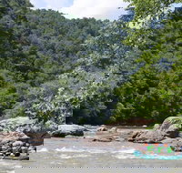 French Broad Gorge Whitewater Rafting Trip - Tourism Bookings