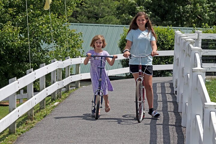 Premium Amish Country Tour Including Amish Farm And House - thumb 4