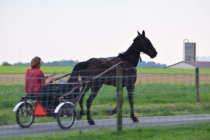 Premium Amish Country Tour Including Amish Farm And House - thumb 5