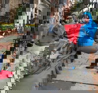 Scavenger Hunt Adventure in Wilmington by Zombie Scavengers - USA Accommodation