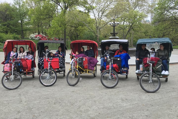 Central Park Movies Tour With Pedicab - thumb 1