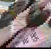 Scavenger Hunt Adventure in Pittsburgh by Crazy Dash - Students Accommodation