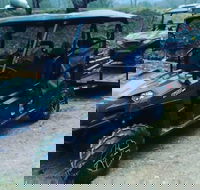 Premier Powersport Dealer Sales Service  UTV Rentals - Students Accommodation