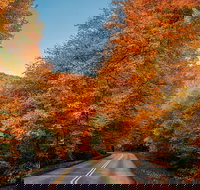 Scenic Driving Tour of the Blue Ridge Mountains - Tourism Bookings