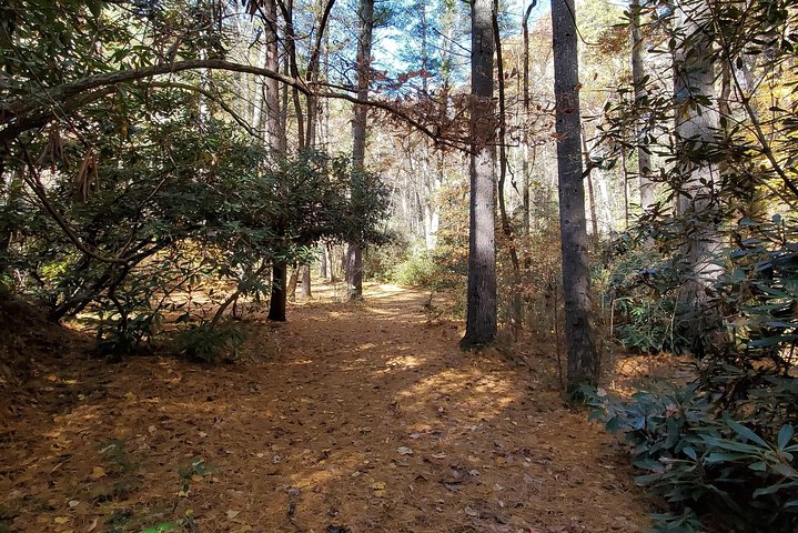 North Carolina Arboretum Running Tour In Asheville - thumb 1