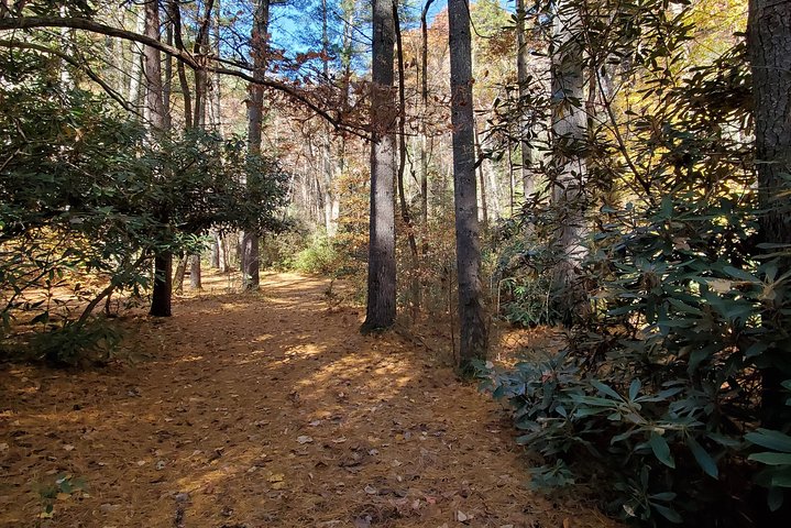 North Carolina Arboretum Running Tour In Asheville - thumb 4