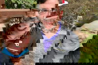 Auburn Ny USA Accommodation