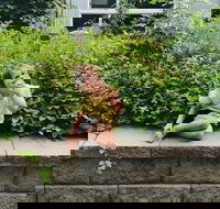 Wacky Wilmington Scavenger Hunt - USA Accommodation