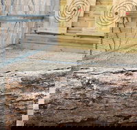 Axe Throwing Training - Students Accommodation