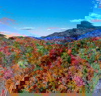 Adirondacks and Lake Placid Autumn Foliage Private VIP Boutique Day Trip - USA Accommodation