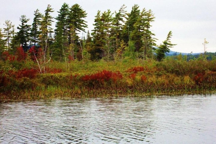 Adirondacks And Lake Placid Autumn Foliage Private VIP Boutique Day Trip - thumb 3
