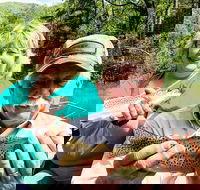 Full Day Float Trip - Students Accommodation