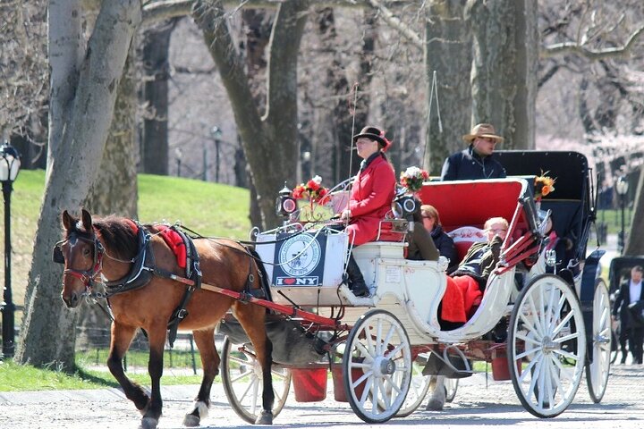 Private Walking Tour Of Central Park - thumb 0