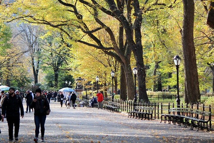 Private Walking Tour Of Central Park - thumb 5