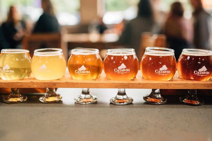 Private Walking Tour Of Asheville - thumb 4