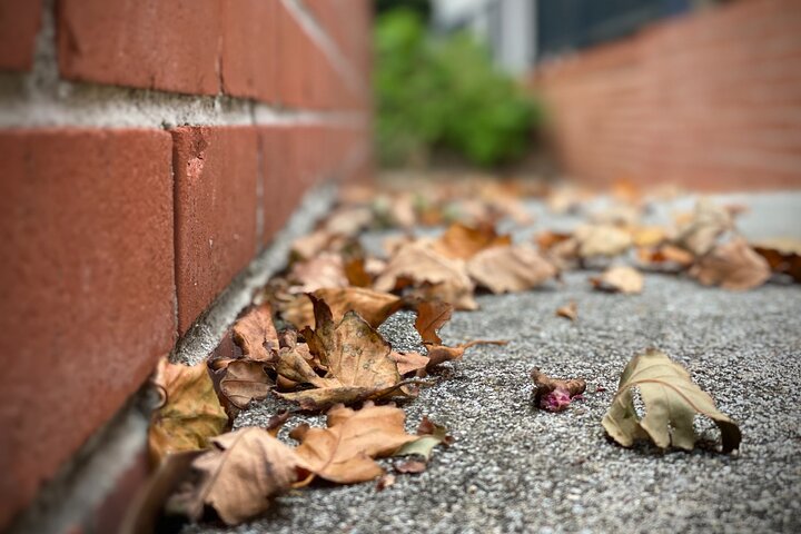 OBX Ghost Tours - thumb 1