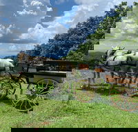 Horse and Carriage Ride through Moses H. Cone Park - Students Accommodation