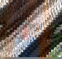 Small-Group Hiking the Best of the Blue Ridge Montains - Tourism Bookings