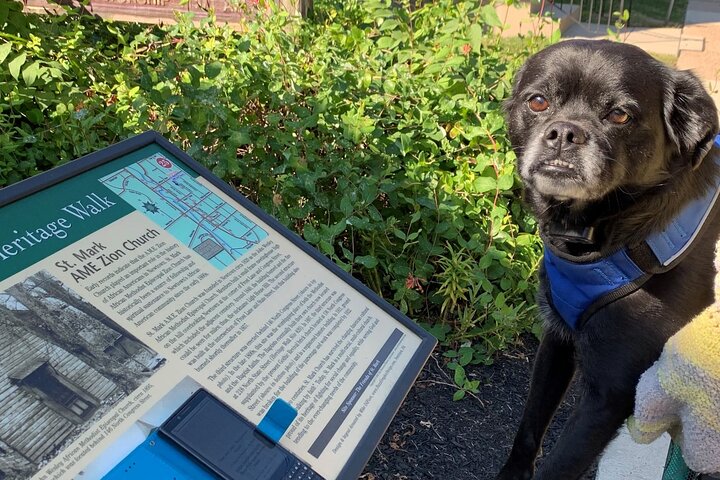 Mysteries On The Move: Scavenger Hunt In Gettysburg - thumb 2