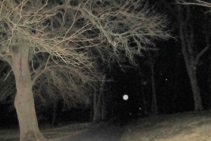 Haunts And History Family Ghost Walking Tour In Gettysburg - thumb 2