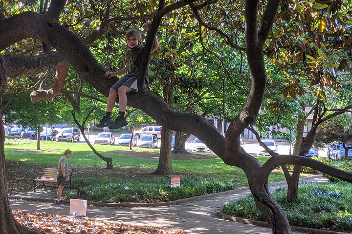 Private Pedicab Tour Of Downtown Raleigh - thumb 5