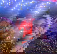 Private Pedicab Karaoke Cruising in Downtown Raleigh - Students Accommodation