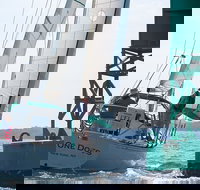 Live Sailboat Race Viewing outside of New York City - Tourism Bookings