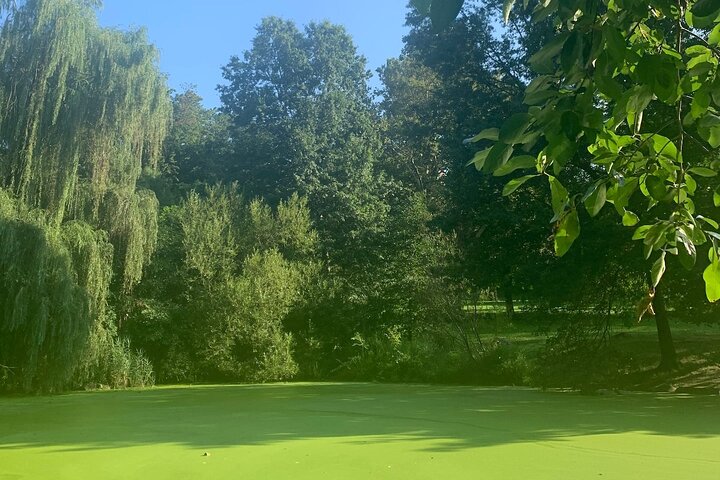 Nature Therapy And Mindfulness In Central Park - thumb 5