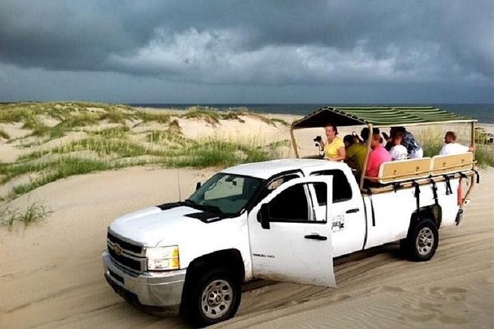 2-hour Outer Banks Wild Horse Tour By 4WD - thumb 0