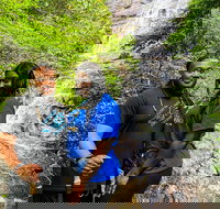 Guided Hike to 3 Amazing Waterfalls - 2.5 Hour Hiking Tour - Tourism Bookings