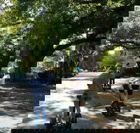 2-Hour Guided Segway Tour of Asheville - Tourism Bookings