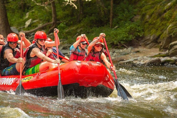 Lower Pigeon River Rafting Tour - thumb 1