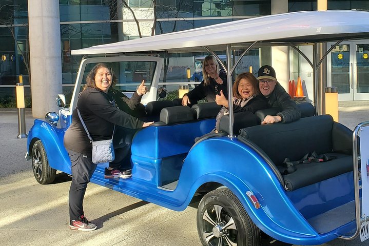 Dallas Cruizer Tour - thumb 1