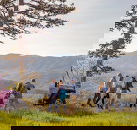 Foothills Parkway Tour by Open-Air Jeep - Hotels Santiago