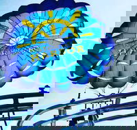 Parasailing Adventure at the Hilton Head Island - Students Accommodation