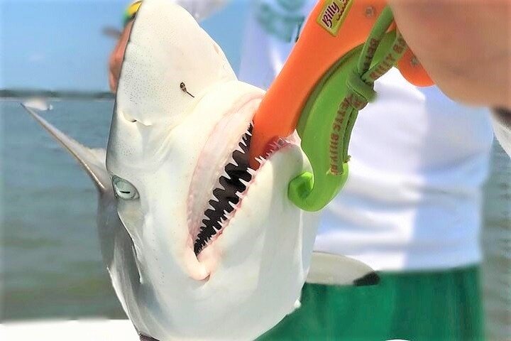 Hilton Head Private Small-Group Customized Fishing Charters - thumb 0