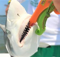 Hilton Head Private Small-Group Customized Fishing Charters - China Accommodation