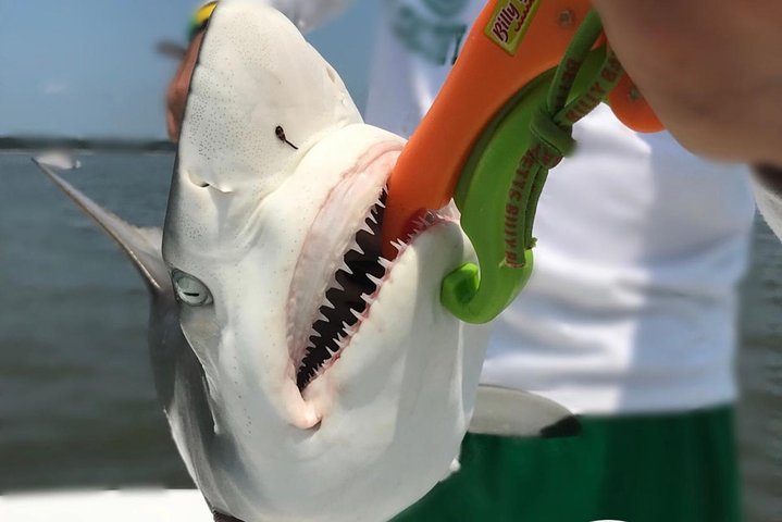 Hilton Head Private Small-Group Customized Fishing Charters - thumb 1