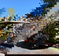 Private - Group Jeep Bison Safari - Sunshine  Fresh Air - Students Accommodation