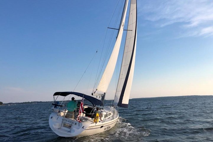 2-Hour Private Hilton Head Afternoon Dolphin Watching Sail - thumb 4