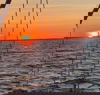 Private Hilton Head Sunset Sailing Tour with Dolphin Watching - Students Accommodation