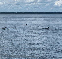 2 - Hour Private Hilton Head Morning Dolphin Watching / Sail - China Accommodation