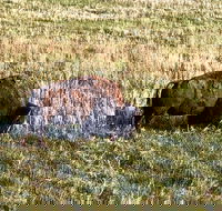 Private Tour - Badlands Delta 9 Missile Museum  Wall Drug - Students Accommodation