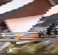 Rocky Top Mountain Coaster Admission Ticket in Pigeon Forge - Hotels Santiago