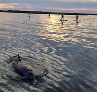 Dolphin Sunset Paddleboard Tour - China Accommodation